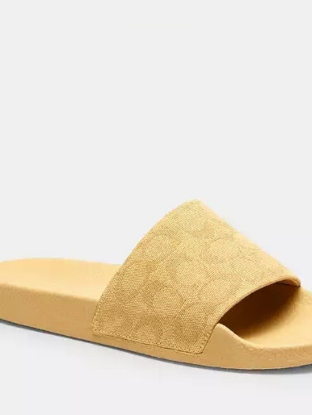 Coach Slides